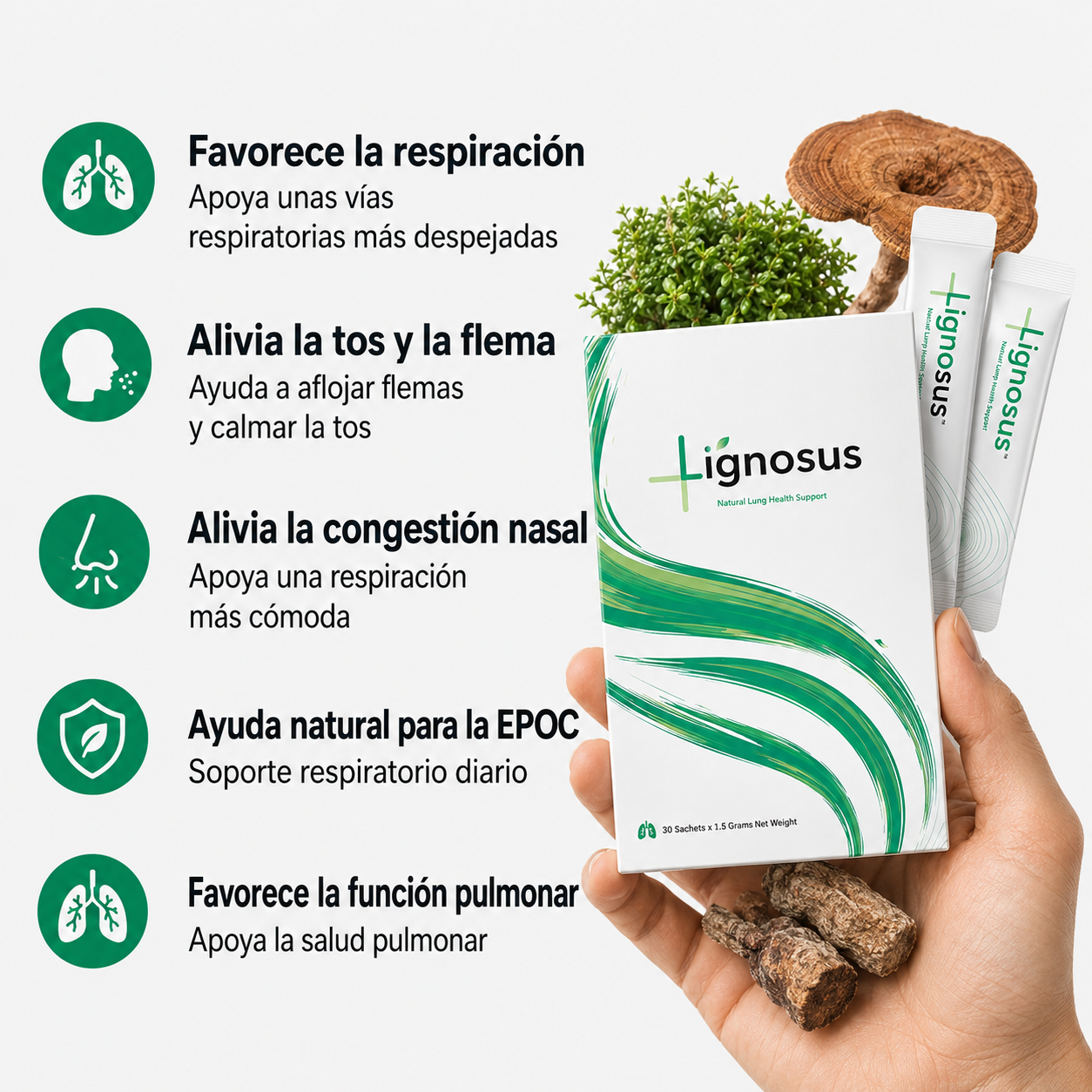 Lignosus | Mejor suplemento natural para la salud respiratoria