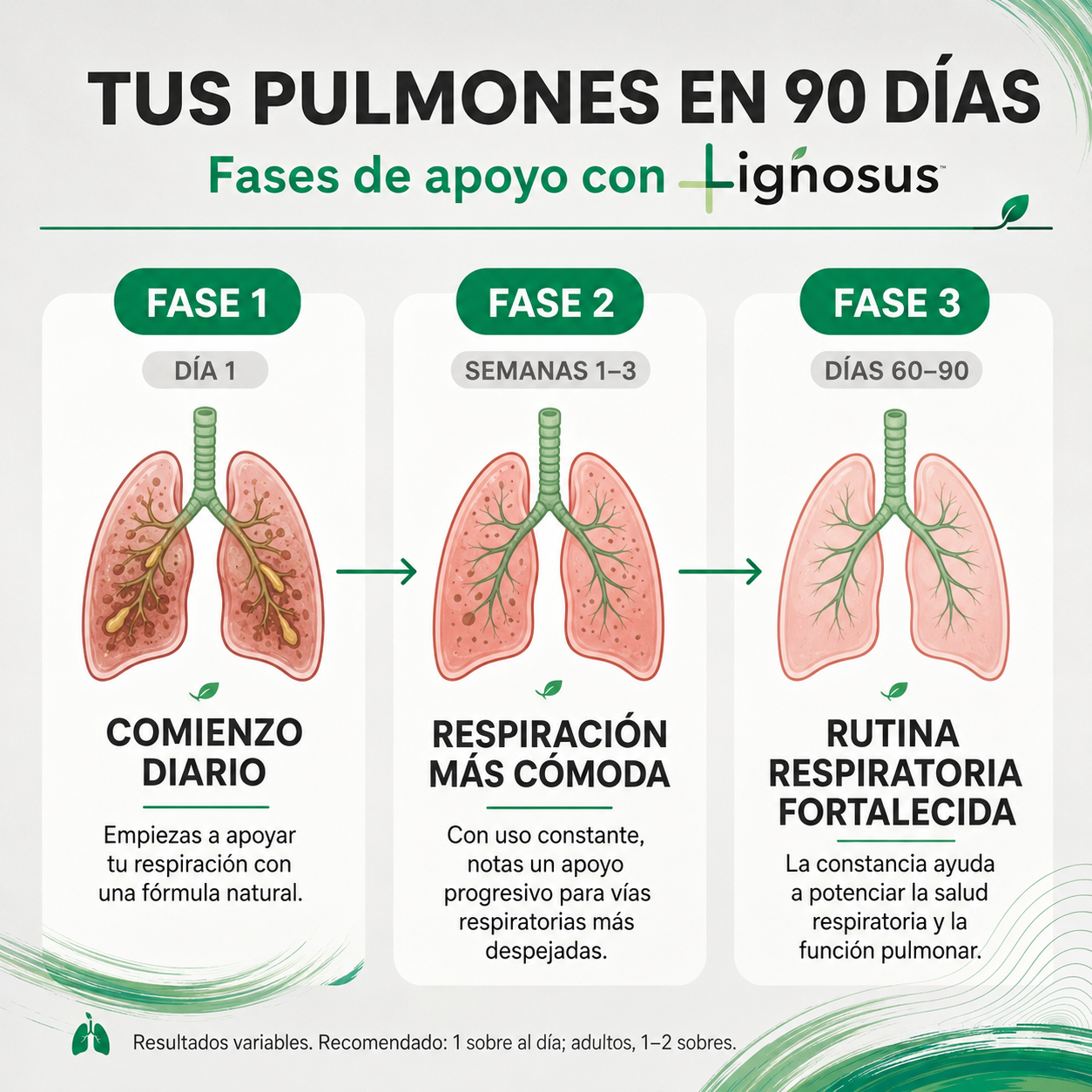 Lignosus | Mejor suplemento natural para la salud respiratoria
